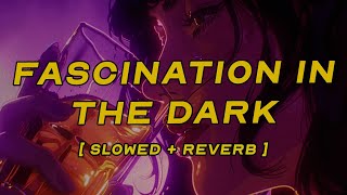 Vance Joy - Fascination In The Dark New Release Slowed Reverb Lyrics