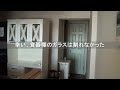 地震後の猫達 地震後の猫達