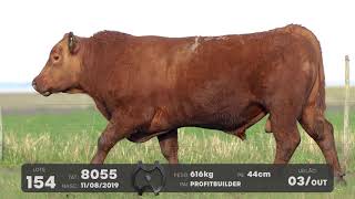 LOTE 154 - TOUROS ANGUS - LEILÃO SÃO BIBIANO 2021