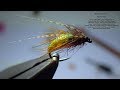 Tying a Elastic Caddis Pupa by Davie McPhail Tying a Elastic Caddis Pupa by Davie McPhail