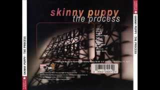 Watch Skinny Puppy Process video