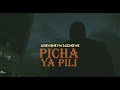 Ambwene Mwasongwe - Picha ya Pili (Official Music Video)