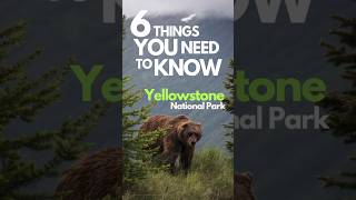 6 Things You Need To Know Before Visiting Yellowstone National Park