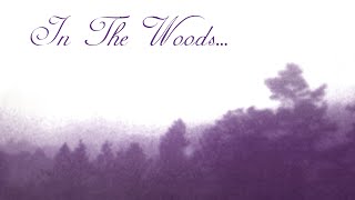 Watch In The Woods Heart Of The Ages video