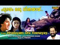 Hridayam Oru Veenayaay Malayalam Full Video Song | HD |  Thammil Thammil Movie Song