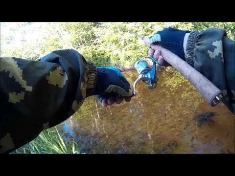 Мастер класс по ловли форели видео Мастер класс по ловли форели видео