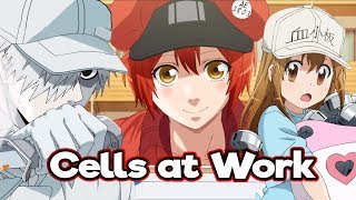 Cells at Work is THE BEST ANIME OF 2018
