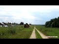Video Коттеджный поселок Удачный в калужской области