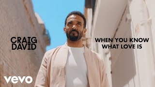 Watch Craig David When You Know What Love Is video