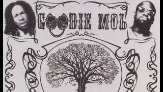Watch Goodie Mob Fly Away video