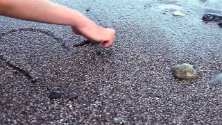 Диля Даль - Взрываю Прошлое