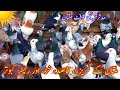 Multan Pigeon | Racer Pigeon | Qasid Pigeon | Garezar Pigeon | Khaher Pigeon | Multan pigeon Loft |
