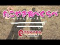 大阪TAKOPA(TAKOYAKI PARK)タコパ🐙食べくらべ