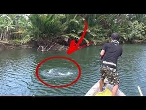 рыбалка видео бесплатно видео без регистрации рыбалка видео бесплатно видео без регистрации