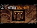 SAMPLE PACK Modern Tribal House