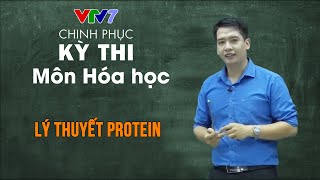 Lý thuyết Protein | Chinh phục kỳ thi THPTQG môn Hóa học
