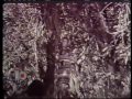 Comercial Ru Ri Ta Anos 70 images Comercial Ru Ri Ta Anos 70