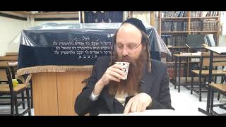 תלמוד עשר הספירות | חלק ה' | אות ה' | הרב יוחאי ימיני