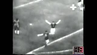 7rFVnWZivBE Video Image