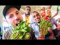 The STRANGE PLANT everyone is eating in Ethiopia