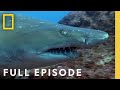 Australia's Deadliest Coast (Full Episode) | When Sharks Attack: There Will Be Blood