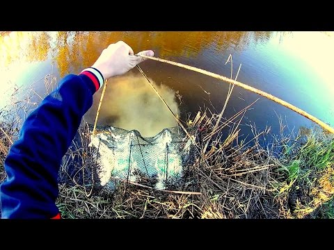 ловля линя мордами и вершами ловля линя мордами и вершами