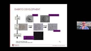 Infertility And Treatment Options