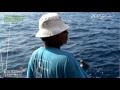 BIG GAME FISHING