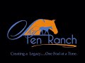Rich Chocolate Only by Invitation Only ~ Congress Super Sale Entry #112 ~ Sky Ten Ranch