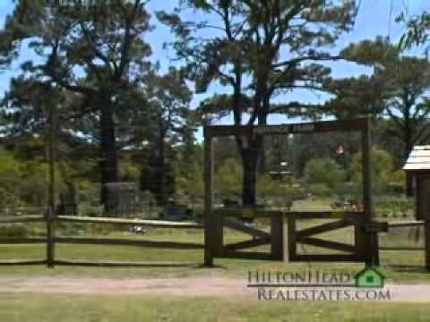 Island Real Estate on Hilton Head Plantation Real Estate Video Hilton Head Island Sc
