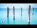 Sérénité, Harmonie Et Bien-être: Musique Therapetique Pour Se Détendre et Dormir, avec Ondes Delta