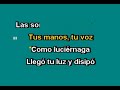 Javier Solis Sombras Karaoke