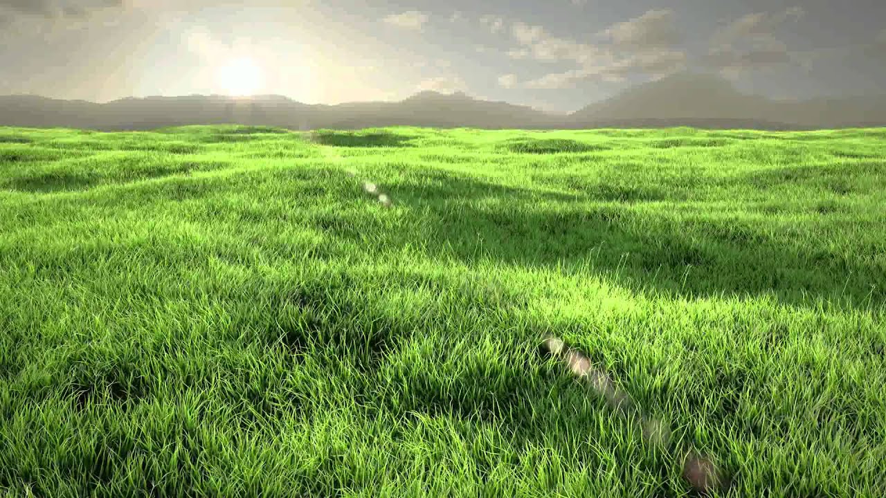 [HD] Grass Animation - Covered Next Tutorial! - YouTube