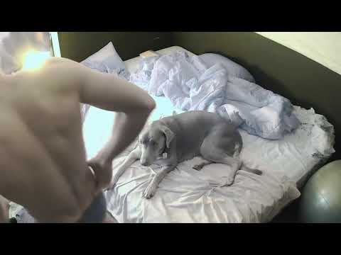 October 17th Sleep Stream