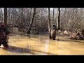 Timber