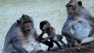 Let's Me Go Mum Baby Monkey ST843 Mono Monkey