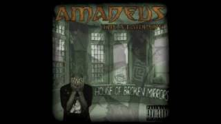 Watch Amadeus The Stampede Company Of Saints video