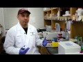Why public health? anthony covarrubias Why public health? anthony covarrubias