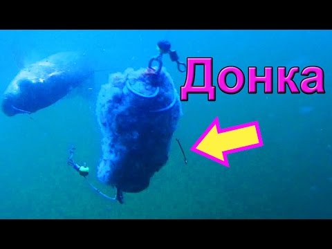 донка подводная съемка донка подводная съемка