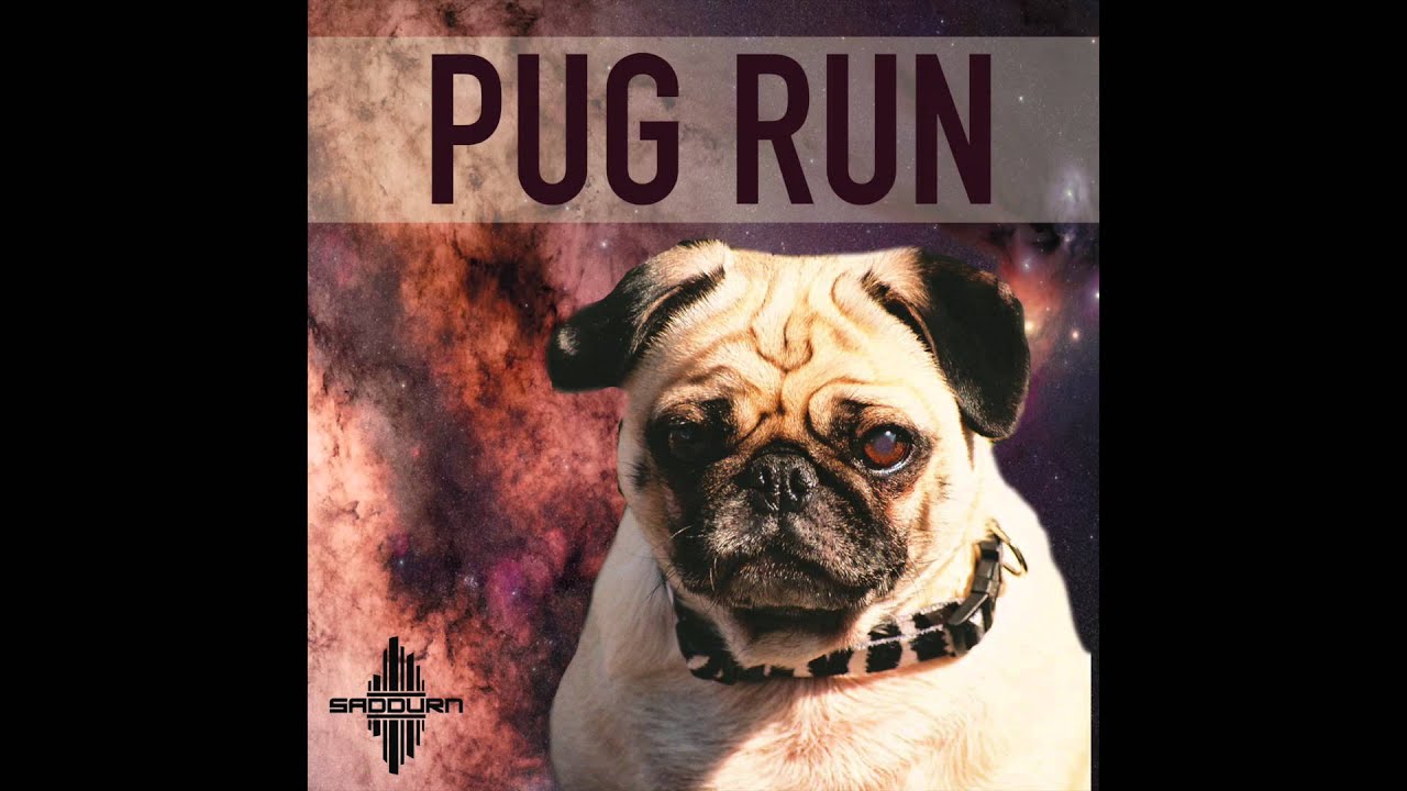 dubstep pug saddurn pug run dubstep dubstep pug saddurn pug run dubstep