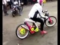 Drag Bike Cewek Indrie Barbie images Drag Bike Cewek Indrie Barbie