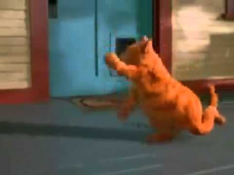 Garfield Türkçe Müzik Arabaya Sen Set Din