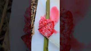 Breaking Snail Eggs Asmr Part 144