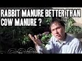 Rabbit Manure Better than Cow Manure for Organic Gardening? and more Q&A