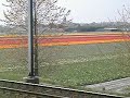 jouwpagina