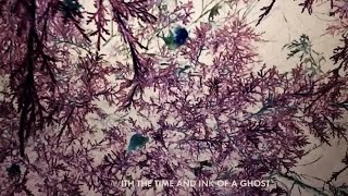 Watch Jose Gonzalez With The Ink Of A Ghost video