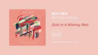 Watch Boy Rex Gold In A Wishing Well video