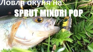 Ловля окуня на SPRUT MINORI POP