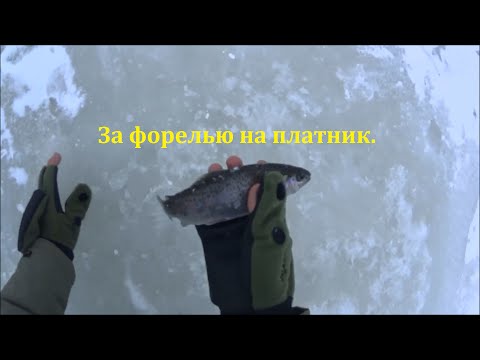 советы бывалых ловля форели видео советы бывалых ловля форели видео