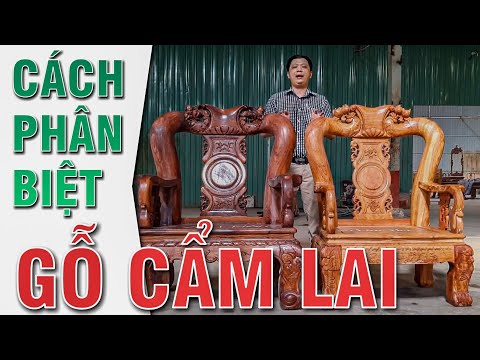 Cách phân biệt và nhận biết các loại gỗ cẩm lai | bạn cần biết để không mua nhầm